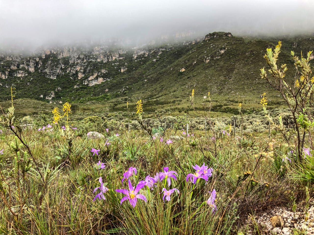 Ambiente iluminado à noite
